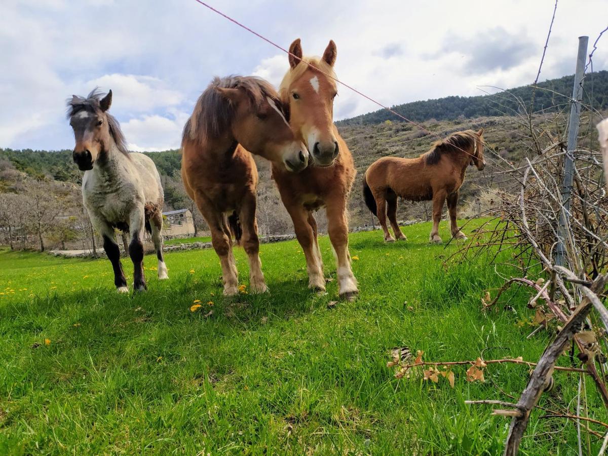 Hostal Pas De La Pera Aransá Eksteriør billede